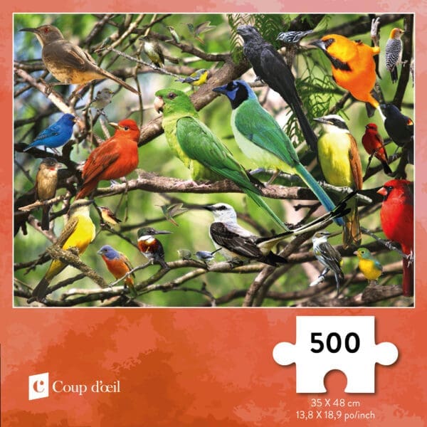 Casse-tête - Oiseaux (500 morceaux)