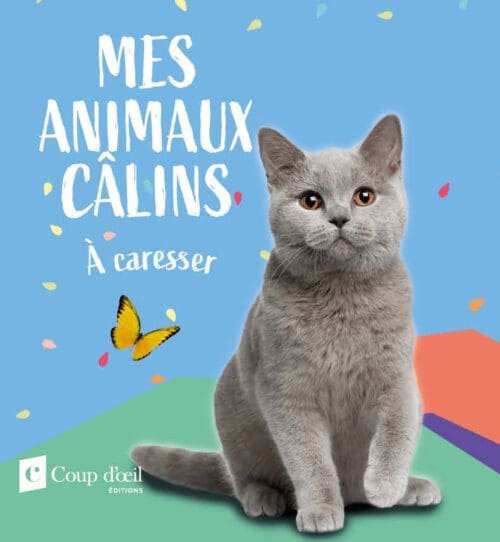 Animaux câlins – Chat