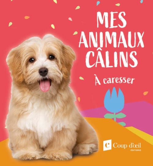 Animaux câlins – Chien