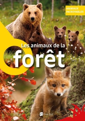 Animaux incroyables - Les animaux de la forêt