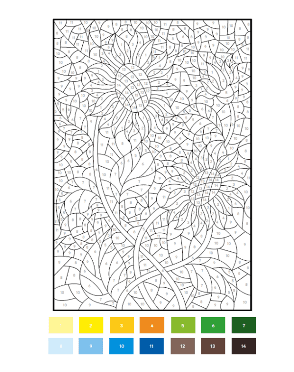 Coloriages par numéros - Botanique - Image 3